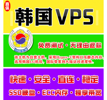 韩国VPS机房4096M国外，搜索引擎优化的网站